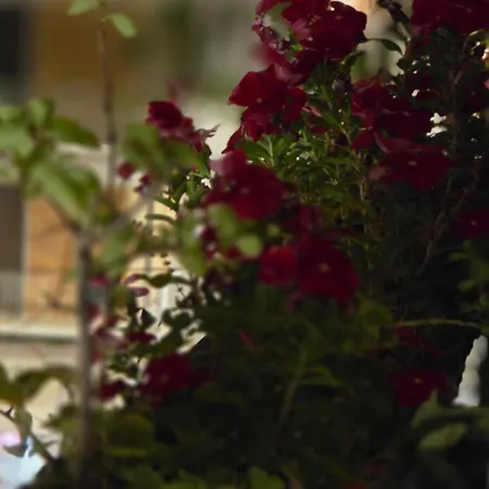 Attico Imperiale - In Centro, Tra Stazione E Vecchia * باري